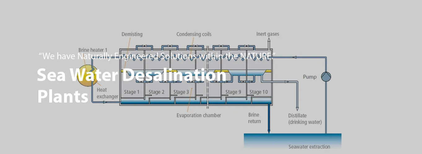 Seawater Desalination Plant Cost